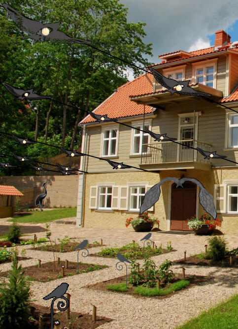 Vizualizācija Vizualizācija